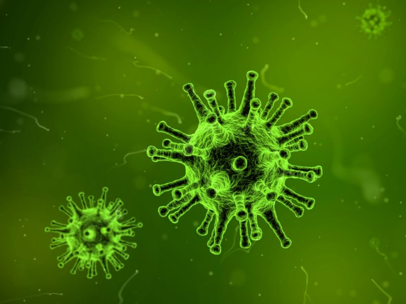 Grüner Virus mit dem Mikroskop vergrößert