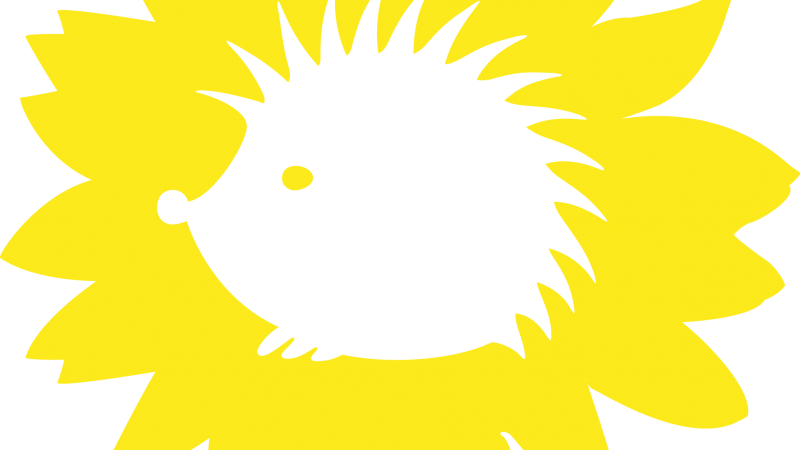 Igelblume-Logo