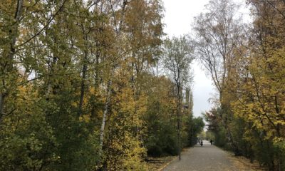 Es ist ein Radweg im Berliner Gleisdreieckpark im Herbst zu sehen