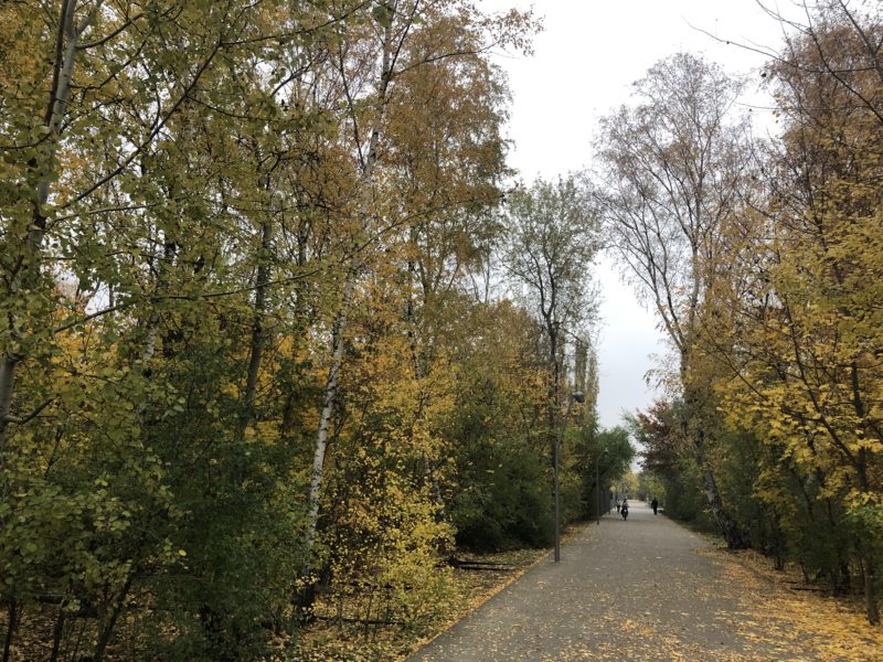 Es ist ein Radweg im Berliner Gleisdreieckpark im Herbst zu sehen