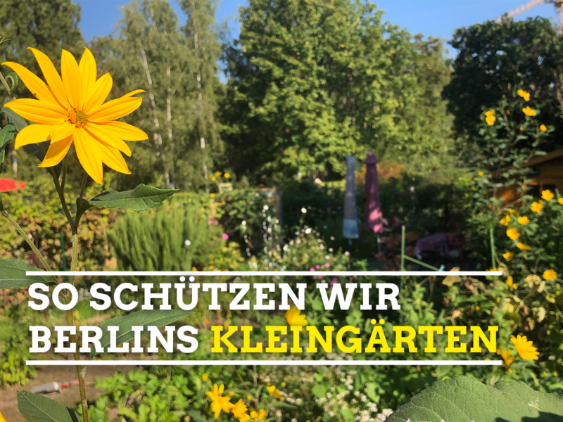 Bild von einem Kleingarten, in welchen die Sonne hineinscheint und viele Blumen, Bäume und Sträucher blühen. Im unteren Bilddrittel steht in großen weißen Buchstaben So schützen wir Berlins Kleingärten, das Wort Kleingärten ist in gelb geschrieben.