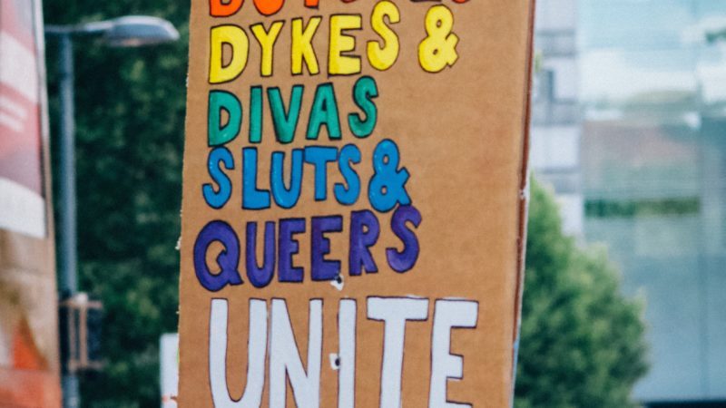 Selbstgebasteltes Pappschild, auf dem in Regenbogenfarben steht: "Bitches, Butches, Dykes & Divas, Sluts & Queers UNITE". Unten im Bild eine Menschenmenge.