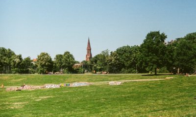 Foto des Görlitzer Parks, im Hintergrund Bäume und eine Kirche