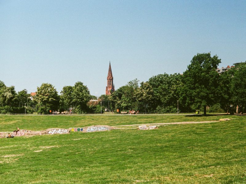 Foto des Görlitzer Parks, im Hintergrund Bäume und eine Kirche