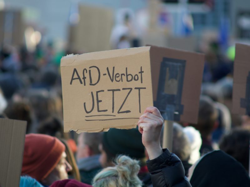 Ein Demoschild auf dem "AfD-Verbot JETZT!" steht, wird von einer Hand aus einer Menschenmenge hochgehalten.